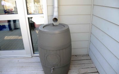 5 Ways to Save Water at Home